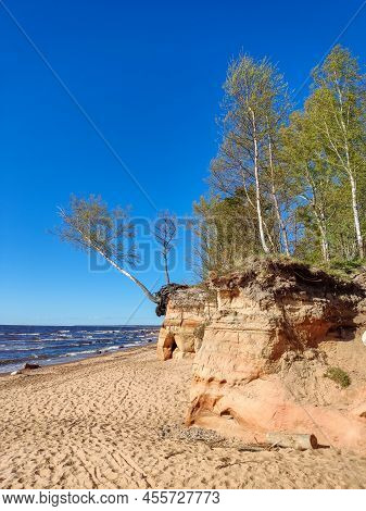 Veczemju Klintis, Veczemju Cliffs On Baltic Sea Near Tuja, Latvia. Beautiful Sea Shore With Limeston