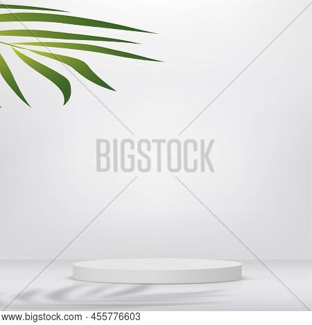 Abstract Studio Room With White Color Pedestal Podium And Leaves. Vector