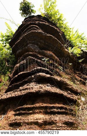 Fossilized Stromatolite Stone Or Fossil Stromatolith Rock In Geological Heritage Of Satun Unesco Glo