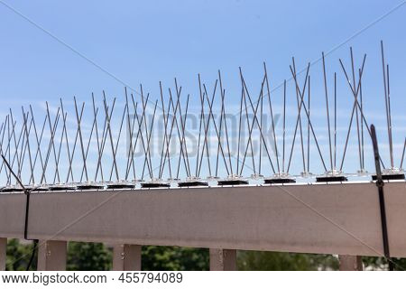 Anti Bird Spike For Get Rid Of Pigeons And Scare Birds Pest Control
