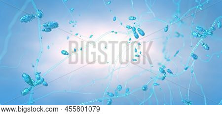 Close-up Of Growing Dermatophytes Fungus Causing Skin Diseases - 3d Illustration