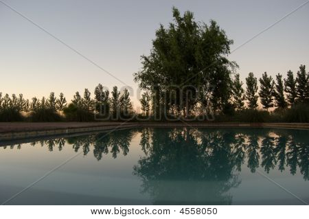 Zwembad reflectie