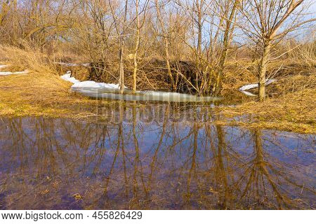 Reflection Of Trees And Sky In The Water