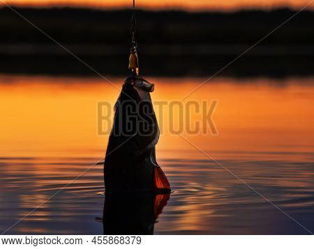 Fishing At Sunset. Catching Predatory Fish On Spinning. Sunset Colors On The Water Surface, Sunny Pa