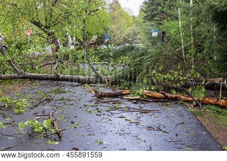 A Wide Angle Shot Showing Tree Trunks, Branches And Debris Obstructing Access On A Main Road In The 