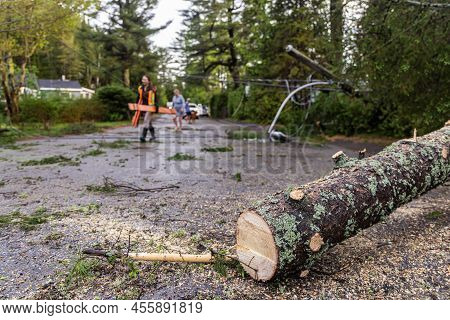 Selective Focus Shot Of Felled Trunk Lying In The Middle Of Road, With Sawdust As Blurry Tree Surgeo