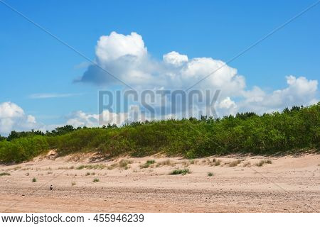 Sand Dunes With Pine Forests Near Baltic Sea In Vecaki, Latvia. Clean Environment Concept.