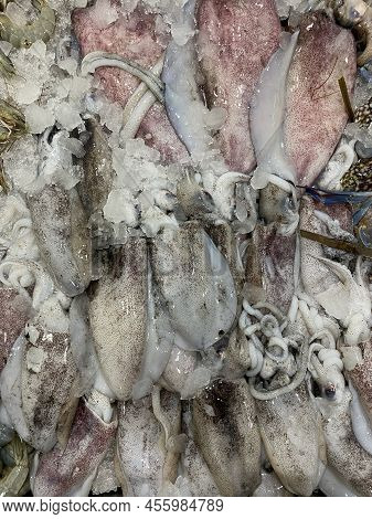 Photo Of Philippine Fish Nokus, Nokos, Pusit Lumot Or Squid.