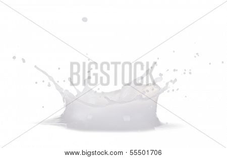 Isolated shot of milk splash crown on white abckground