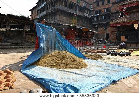 Woman threshing grain in Kathmandu, Nepal
