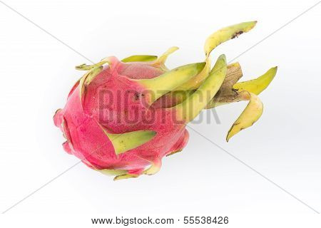 Dragon Fruit On Isolated White Background