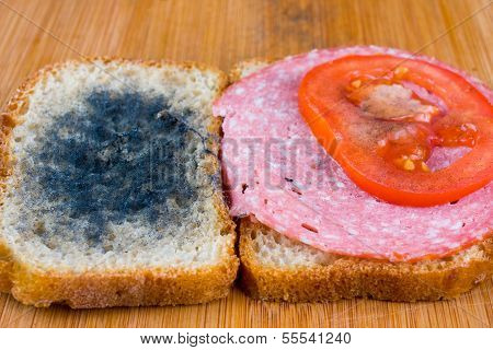 Moldy Sandwich With Salami, Tomatoes On A Chopping Board