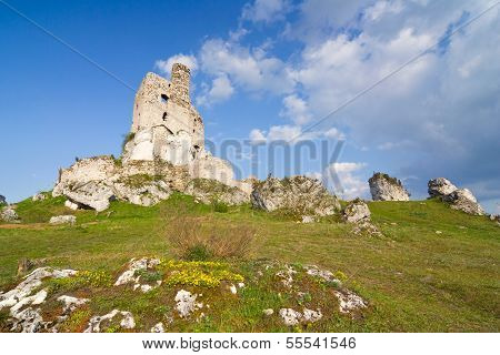 Ruins Of Medieval Castle Mirow In Poland