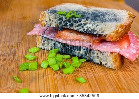 Moldy Sandwich With Salami, Tomatoes On A Chopping Board