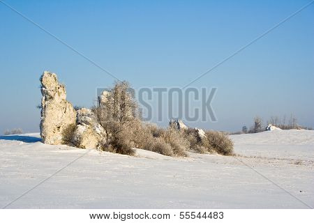 Limestone Rock In Jura Krakowsko-czestocho Wska. Poland