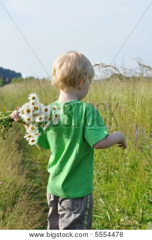 เด็กชายกับ Daisies