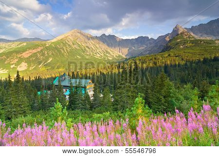 Gasienicowa Valley In Tatra Mountains, Poland