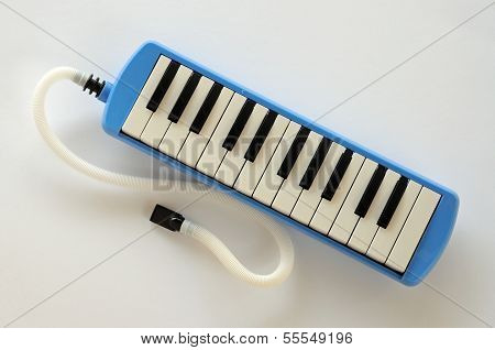 Blue and white Pianica.