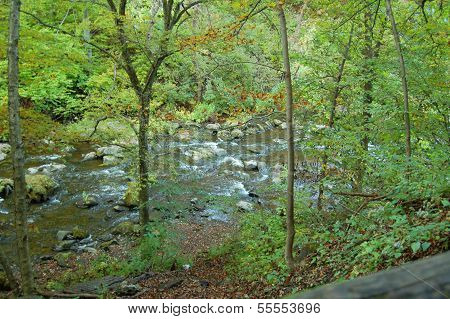 Babbling Brook