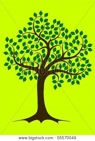 Tree