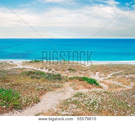 San Giovanni Coastline