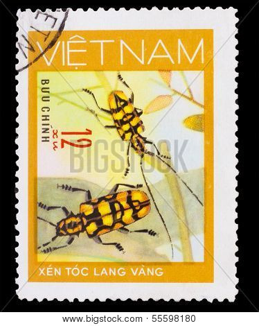 VIETNAM - CIRCA 1981: A stamp printed in VIETNAM, shows animal i