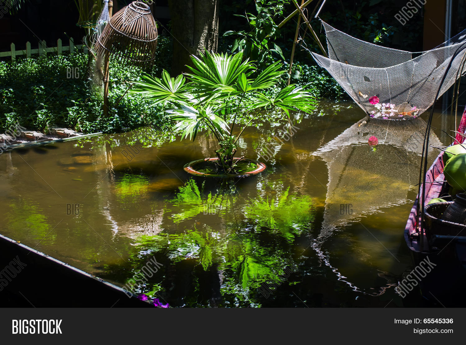Image Preview