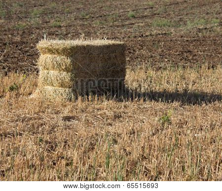 Hay bale