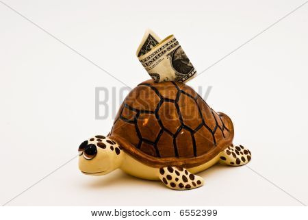 Turtle Bank