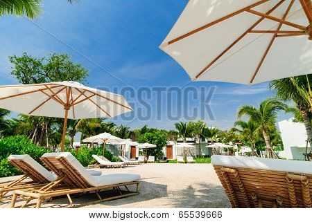 Beautiful Sunbeds