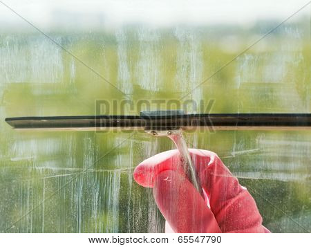 Hand In Pink Glove Washes Window Glass By Squeegee