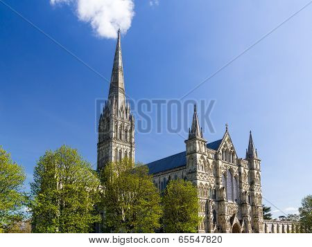 Salisbury Cathedral Wiltshire England Uk