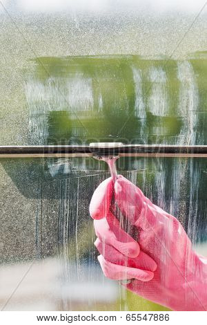 Hand In Pink Glove Washes Window Pane By Squeegee