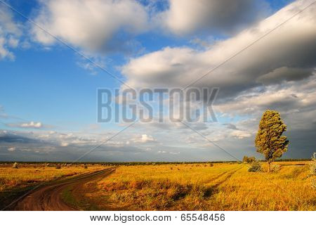 Cental Ukraine landscape