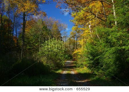 Herbst