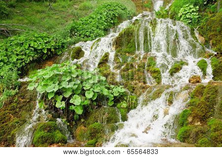Sopotnica Springs near Prijepolje, Serbia