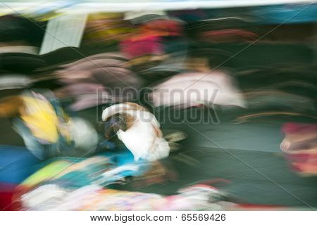People In Motion At The Sidewalk