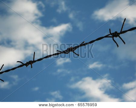 Barbed Wire Fence