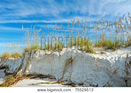 Beautiful Florida Coastline