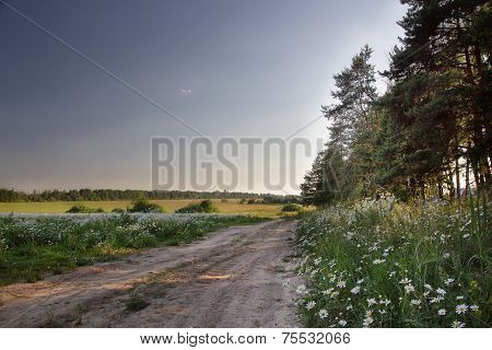 Landscape Situated Near Moscow