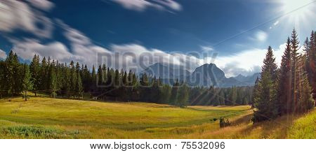 Landscape In The Sunlight.