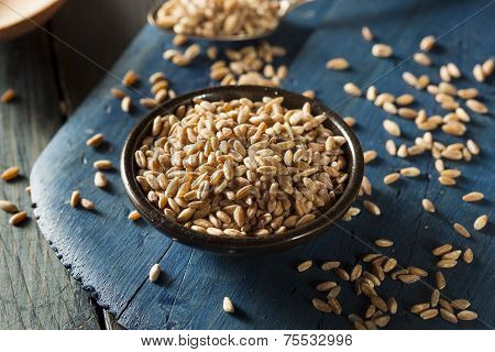 Organic Raw Farro Grain