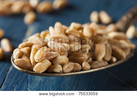Organic Raw Farro Grain