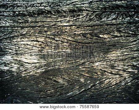 Texture Old Wood