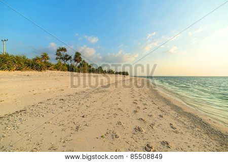 Wild beach