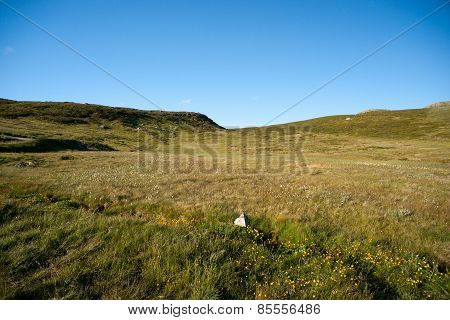 Mountain Plateau Valdresflye, Jotunheimen, Norway