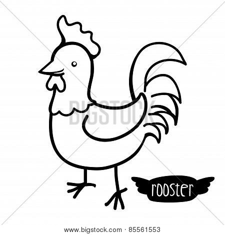 bird design