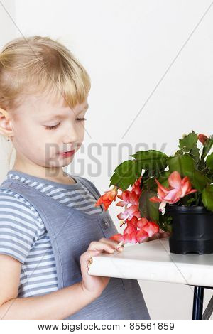 portrait of little with Christmas cactus