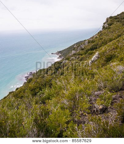 Tuscany Coast Landscape