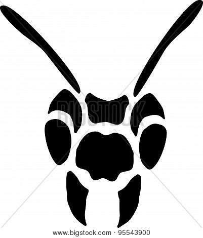 Wasp